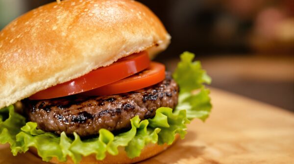 Sanduches_Hambrguer_simples